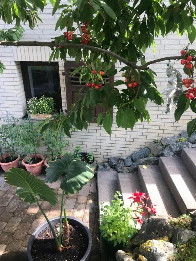 Ferienwohnung Am Weiltalradweg Weinbach Eksteriør bilde