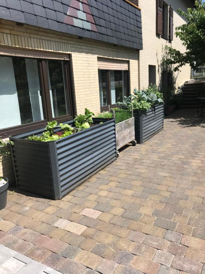 Ferienwohnung Am Weiltalradweg Weinbach Eksteriør bilde